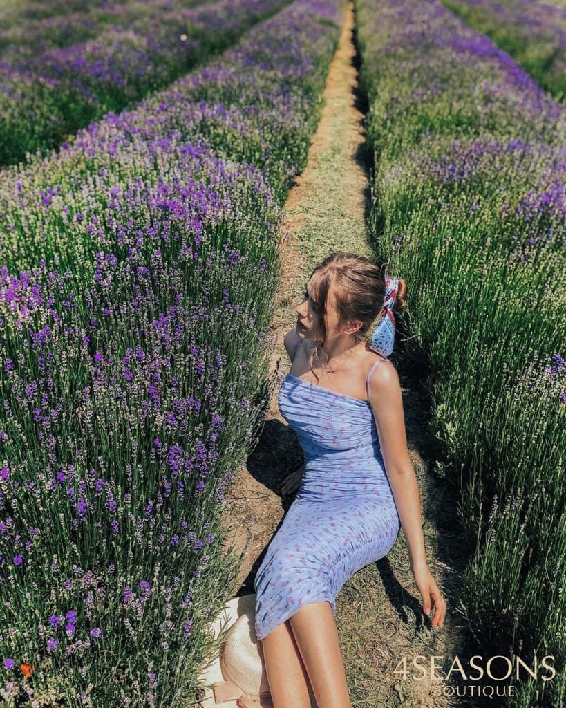 Vestido Princesa Indiá